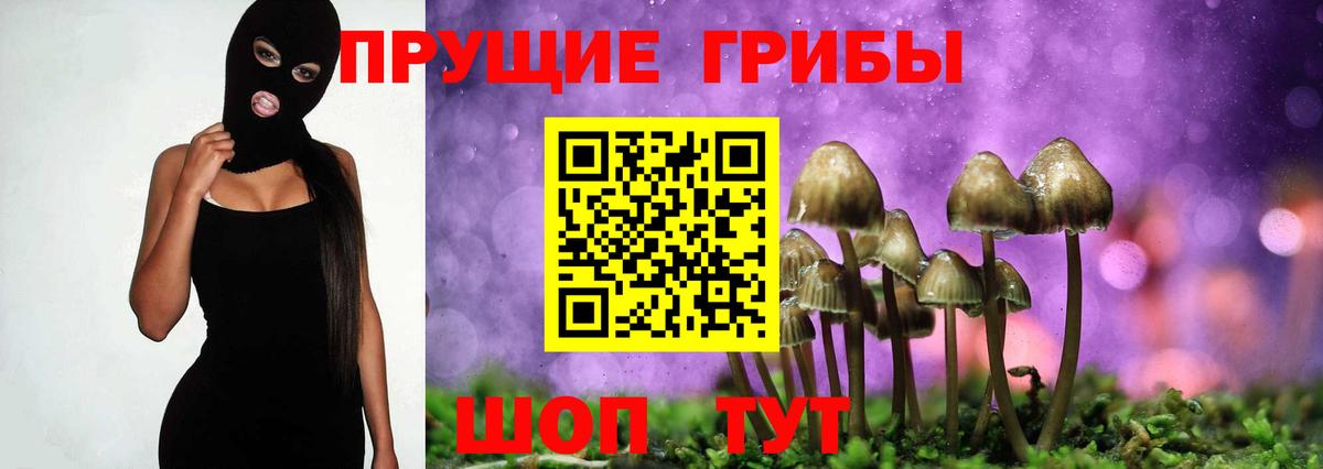 Псилоцибиновые грибы MAGIC MUSHROOMS  Псилоцибиновые грибы прущие грибы  Вход с VPN  Волоколамск 